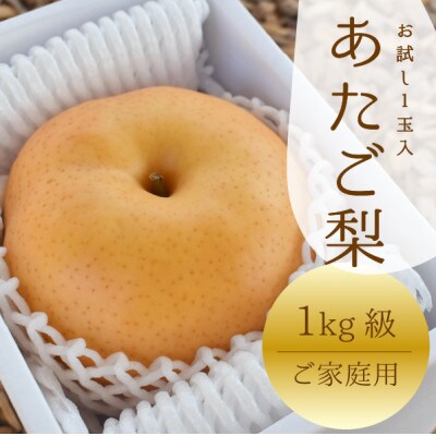 【きよとうファーム】あたご梨 ご家庭用1玉入 /1kg~(岡山県産)