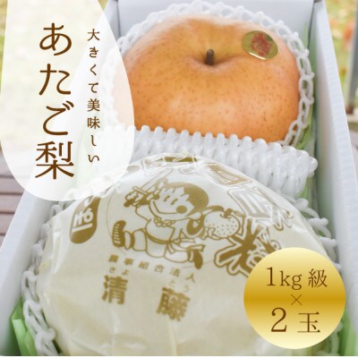 【きよとうファーム】あたご梨 上級品 2玉入(1kg級/玉)(岡山県産)
