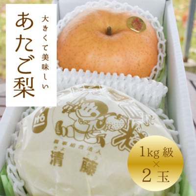 【2025年発送】あたご梨 上級品 2玉入(1kg級/玉)(岡山県産)  お歳暮やギフトにおすすめ