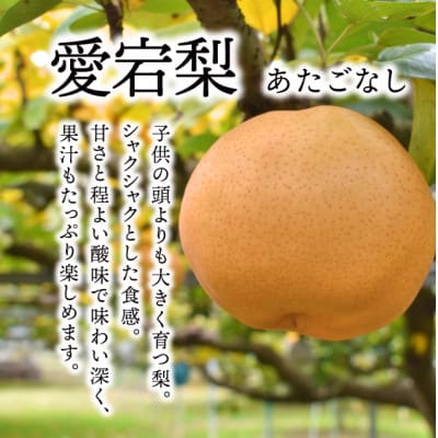 【2025年発送】あたご梨 上級品 2玉入(1kg級/玉)(岡山県産)  お歳暮やギフトにおすすめ