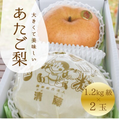 【きよとうファーム】あたご梨 上級品 2玉入(1.2㎏級/玉)(岡山県産)