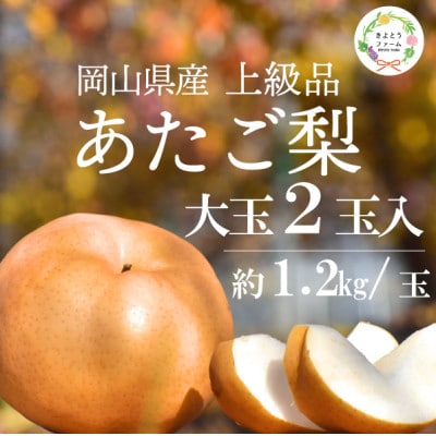 【2025年発送】あたご梨 上級品 2玉入(1.2kg級/玉)(岡山県産)  お歳暮やギフトにも