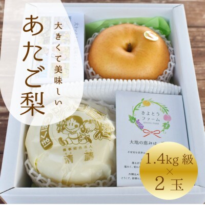 【きよとうファーム】あたご梨 上級品 2玉入(1.4kg級/玉)(岡山県産)