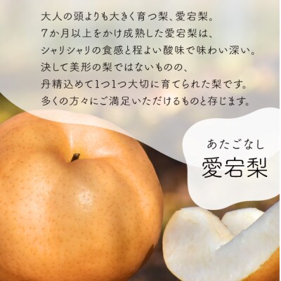【きよとうファーム】あたご梨 上級品 2玉入(1.4kg級/玉)(岡山県産)