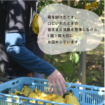 【きよとうファーム】あたご梨 上級品 3-6玉入(岡山県産)