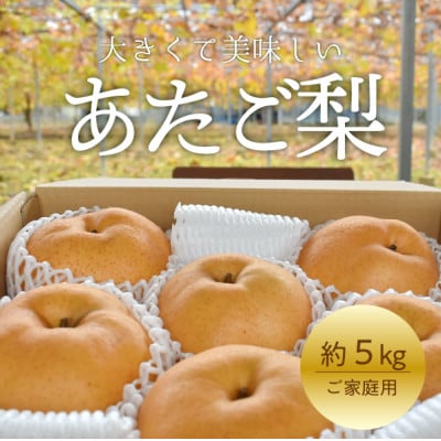 【きよとうファーム】あたご梨 ご家庭用/約5kg(岡山県産)