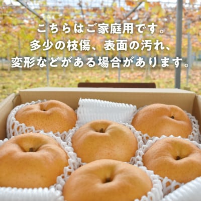 【きよとうファーム】あたご梨 ご家庭用/約5kg(岡山県産)