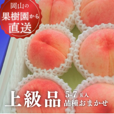 【きよとうファーム】旬採り桃の上級品5-7玉入(岡山県産)