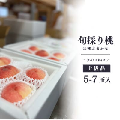【きよとうファーム】旬採り桃の上級品5-7玉入(岡山県産)