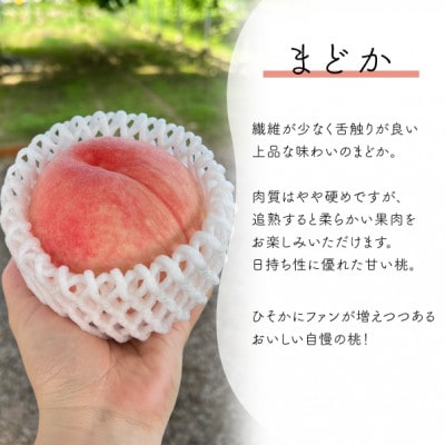 【きよとうファーム】上品な肉質 まどか 白桃 上級品 5-7玉入(岡山県産)