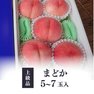 【きよとうファーム】上品な肉質 まどか 白桃 上級品 5-7玉入(岡山県産)