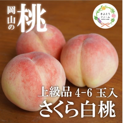 【2026年先行予約】しっかりとした果肉が美味しい「さくら白桃」上級品 4-6玉入(岡山県産)