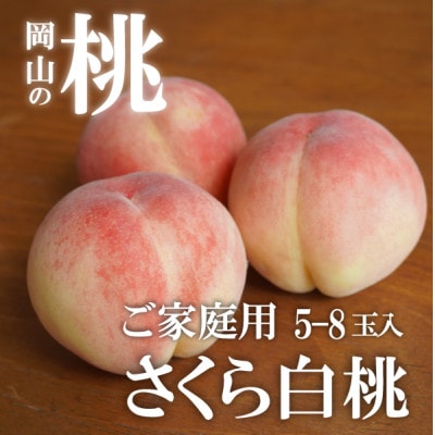 【2026年先行予約】しっかりめの肉質と甘さが絶品「さくら白桃」ご家庭用 5-8玉入(岡山県産)