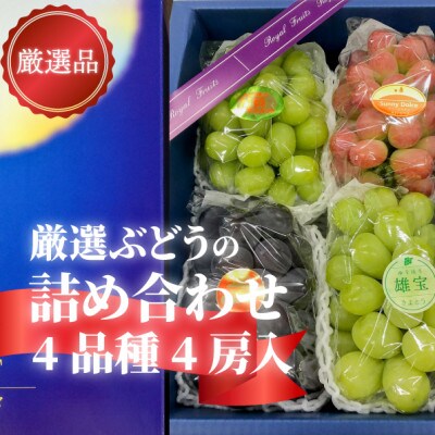 【きよとうファーム】【厳選品】ぶどう4品種 4房入 リズムボックス(岡山県産)