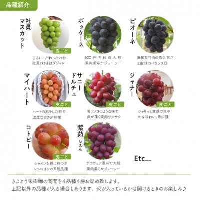 【きよとうファーム】【厳選品】ぶどう4品種 4房入 リズムボックス(岡山県産)