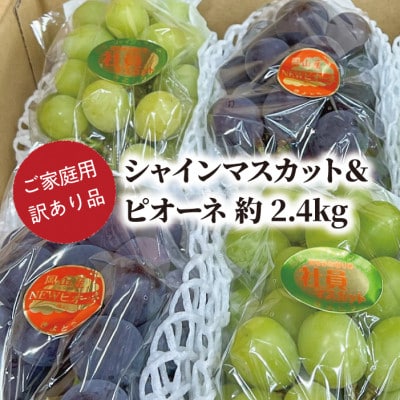 【きよとうファーム】訳ありご家庭用ピオーネとシャインマスカット/計約2.4kg(岡山県産)