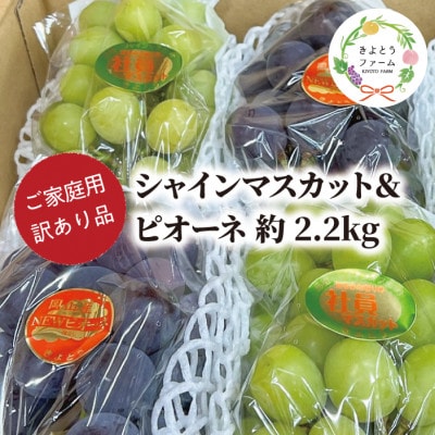 【きよとうファーム】訳ありご家庭用ピオーネとシャインマスカット/計約2.2kg(岡山県産)