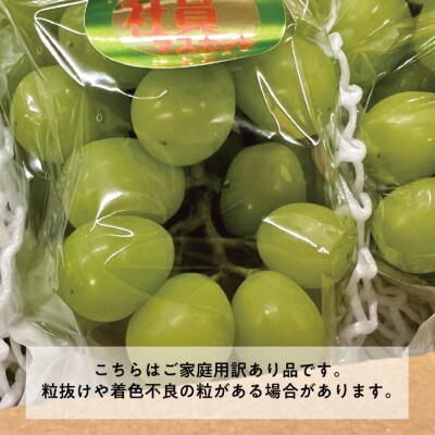 【きよとうファーム】訳ありご家庭用シャインマスカット&おまかせ葡萄/計約2.4kg(岡山県産)