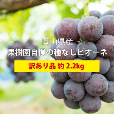 【きよとうファーム】訳あり品 種なしで甘い葡萄の王様「ピオーネ」 /約2.2kg(岡山県産)