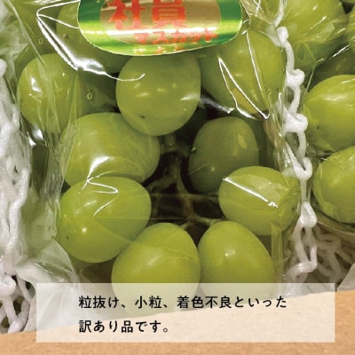 【きよとうファーム】訳あり品 シャインマスカット/約2.4kg(岡山県産)