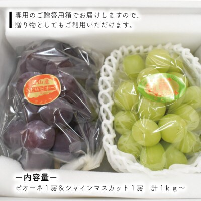 【きよとうファーム】ピオーネ&シャインマスカット詰合せ 中2房 /計1.0kg～(岡山県産)