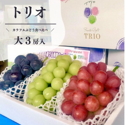 【きよとうファーム】葡萄の宝石箱トリオ(シャインマスカット入り3品種詰合せ)(岡山県産)