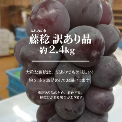 【きよとうファーム】訳あり 種なし ボッケーネ(藤稔) 約2.4kg (岡山県産)