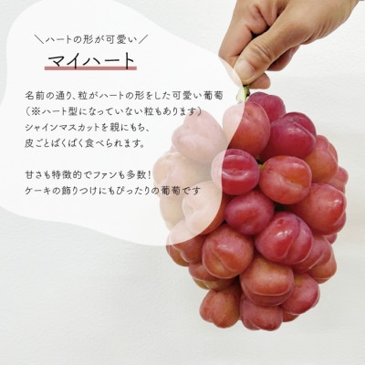 【きよとうファーム】訳ありご家庭用 ハートの形が可愛い!マイハート/ 約2.4kg (岡山県産)