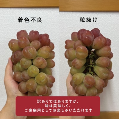 【きよとうファーム】訳ありご家庭用 ハートの形が可愛い!マイハート/ 約2.4kg (岡山県産)