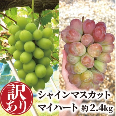 【きよとうファーム】【訳あり品ご家庭用】シャインマスカット&マイハート 約2.4kg (岡山県産)