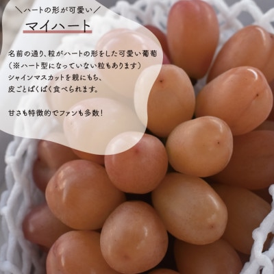 【きよとうファーム】【訳あり品ご家庭用】シャインマスカット&マイハート 約2.4kg (岡山県産)