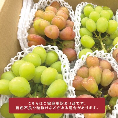 【きよとうファーム】【訳あり品ご家庭用】シャインマスカット&マイハート 約2.4kg (岡山県産)