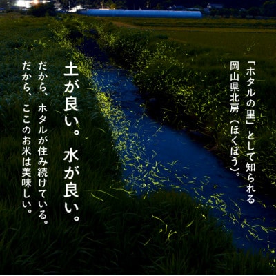 【令和7年産】きぬむすめ 岡山ほたる米 精米10kg (岡山県産)新米 産地直送 《数量限定》
