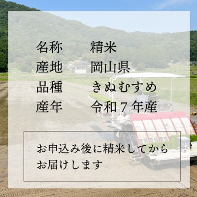 【令和7年産】きぬむすめ 岡山ほたる米 精米10kg (岡山県産)新米 産地直送 《数量限定》