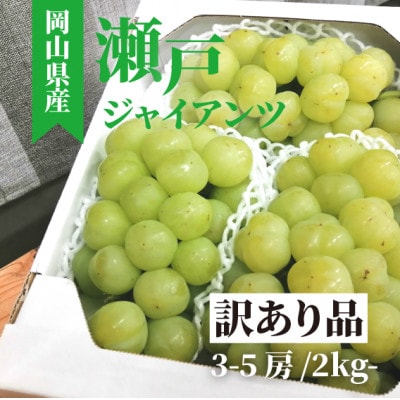 2025年発送【きよとうファーム】訳あり品　瀬戸ジャイアンツ3-5房入/計2kg～(岡山県産)