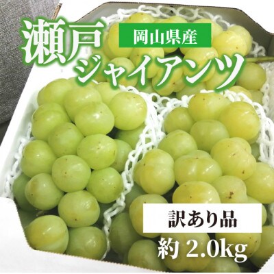 【きよとうファーム】瀬戸ジャイアンツ(丸ごとぱっくん) 訳あり品/約2kg (岡山県産)