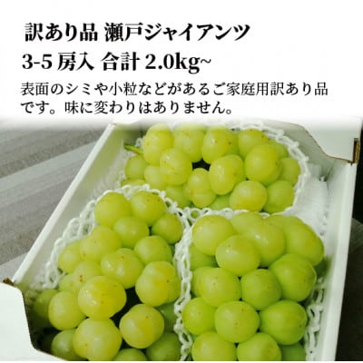 2025年発送【きよとうファーム】訳あり品　瀬戸ジャイアンツ3-5房入/計2kg～(岡山県産)