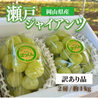 【きよとうファーム】訳あり品 瀬戸ジャイアンツ 中2房入/約1kg(岡山県産)