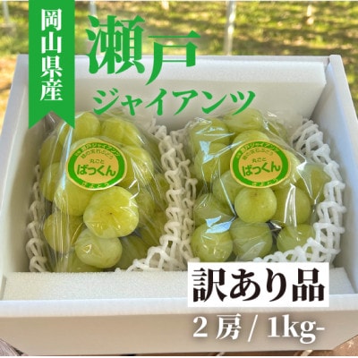 2025年発送!【きよとうファーム】訳あり品　瀬戸ジャイアンツ 中2房入/約1kg(岡山県産)