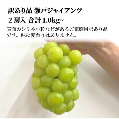 2025年発送!【きよとうファーム】訳あり品　瀬戸ジャイアンツ 中2房入/約1kg(岡山県産)