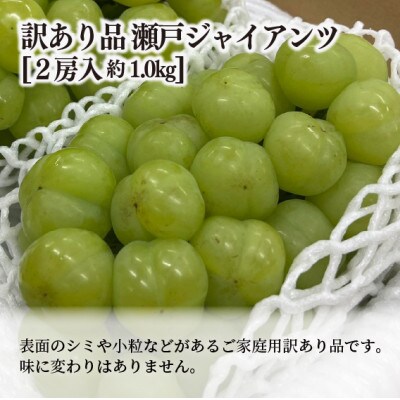 【きよとうファーム】訳あり品 瀬戸ジャイアンツ 中2房入/約1kg(岡山県産)