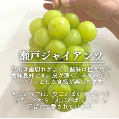 2025年発送!【きよとうファーム】訳あり品　瀬戸ジャイアンツ 中2房入/約1kg(岡山県産)