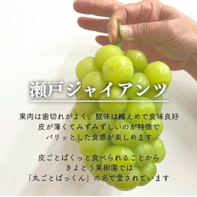 【きよとうファーム】訳あり品 瀬戸ジャイアンツ 中2房入/約1kg(岡山県産)