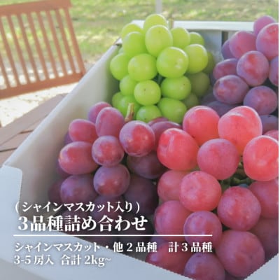 【きよとうファーム】ぶどう3品種詰合せ(シャインマスカット入)3-5房入/計2kg～(岡山県産)