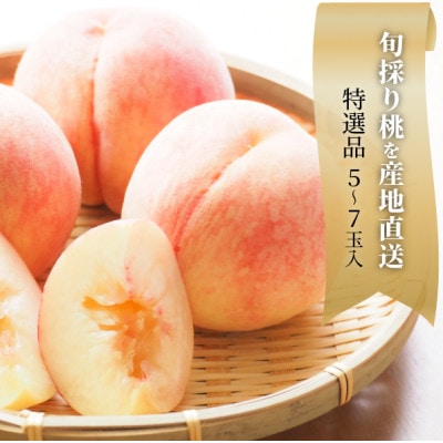 【2026年先行予約】特選品　旬採り桃　5-7玉　(岡山県産)