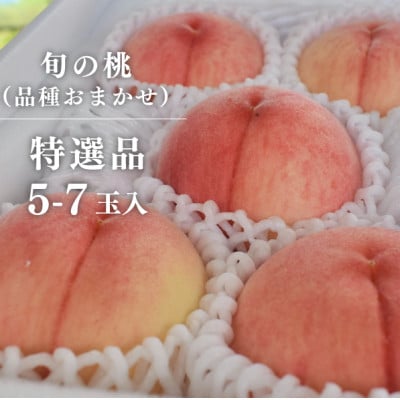 【2026年先行予約】特選品　旬採り桃　5-7玉　(岡山県産)