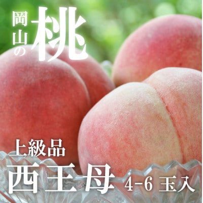 【2026年先行予約】女神の名を持つ希少な晩生桃、西王母(上級品)4-6玉入(岡山県産)