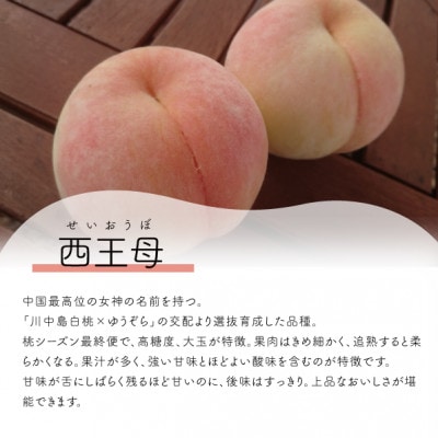 【2026年先行予約】女神の名を持つ希少な晩生桃、西王母(上級品)4-6玉入(岡山県産)