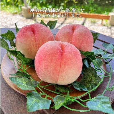 【2026年先行予約】「硬めの桃好きさん」におすすめ! 硬め桃 上級品 5-7玉(岡山県産)