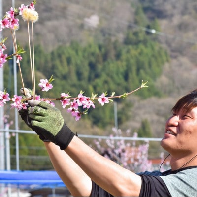 【2026年先行予約】「硬めの桃好きさん」におすすめ! 硬め桃 上級品 5-7玉(岡山県産)